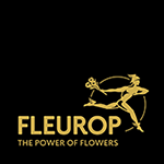 Weltweite Blumenlieferungen bei Fleurop bestellen